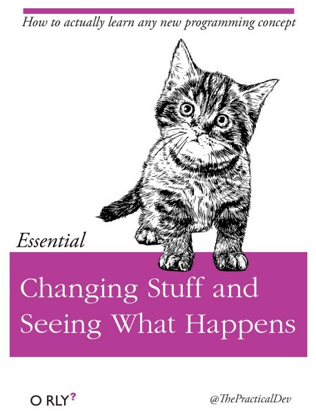 Fake book cover showing a kitten with title 'Changing Stuff and Seeing What Happens.'