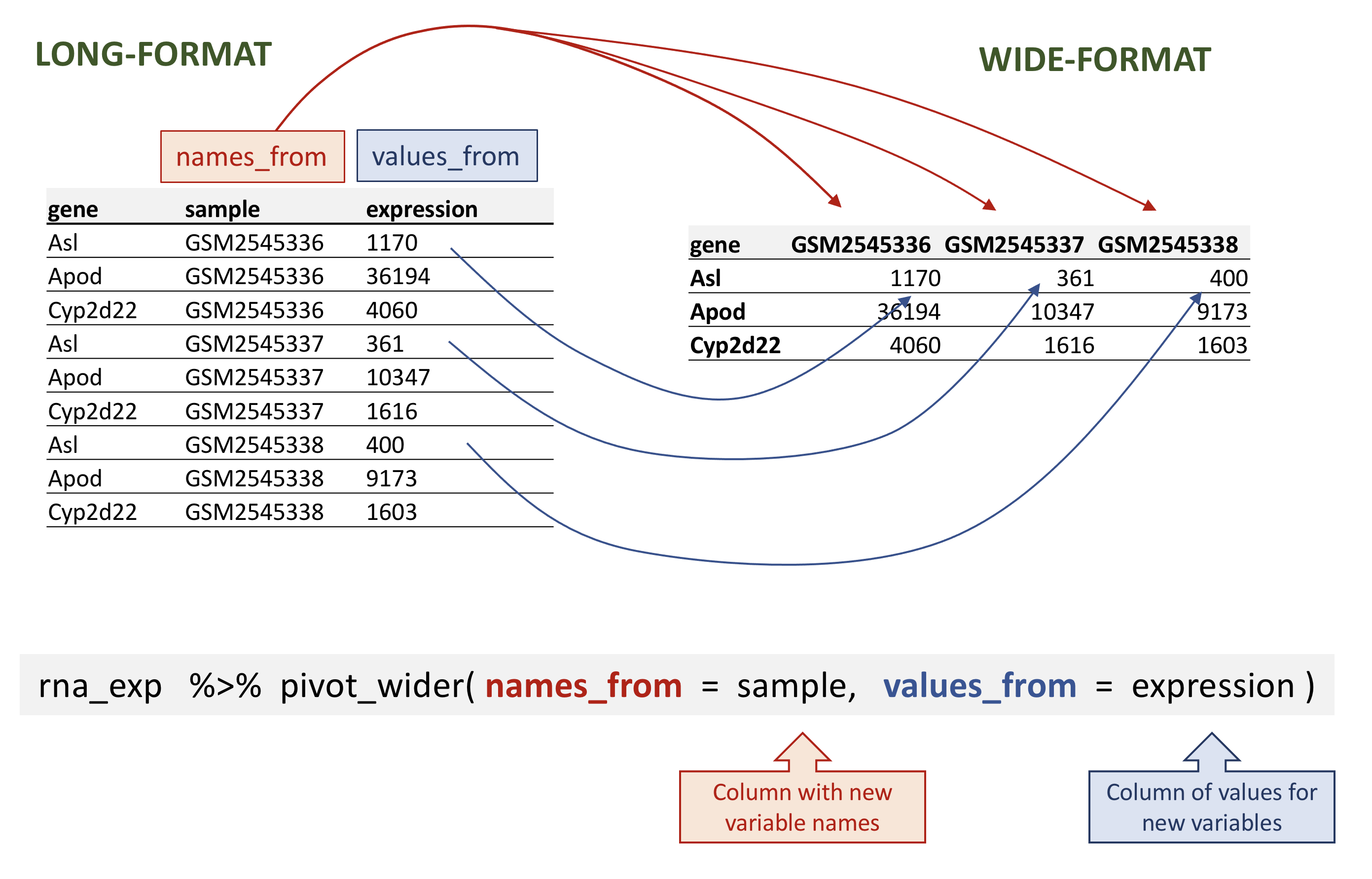 Figure showing the long table format on the left and wide table format on the right and arrows illustrating how the values in the 'sample' column on the left have become column names on the right and how the values in the 'expression' column on the left have become values on the the right. Below is the call to 'pivot_wider()' with annotations pointing to the 'sample' and 'expression' function arguments.