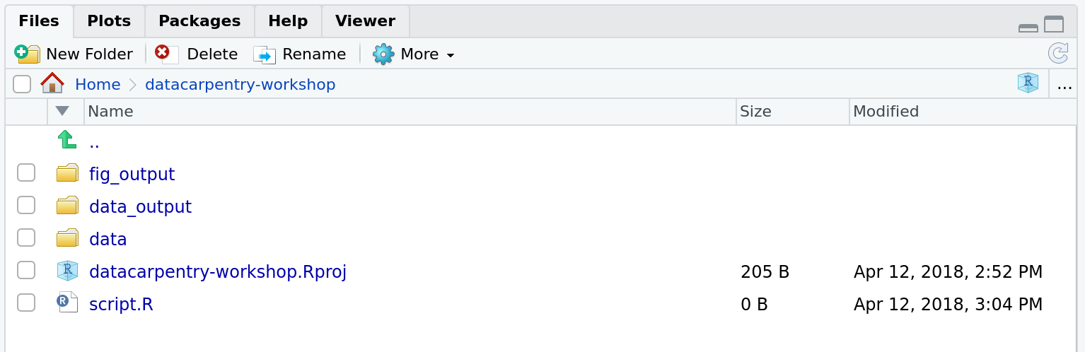 Screenshot of RStudio's Files panel.