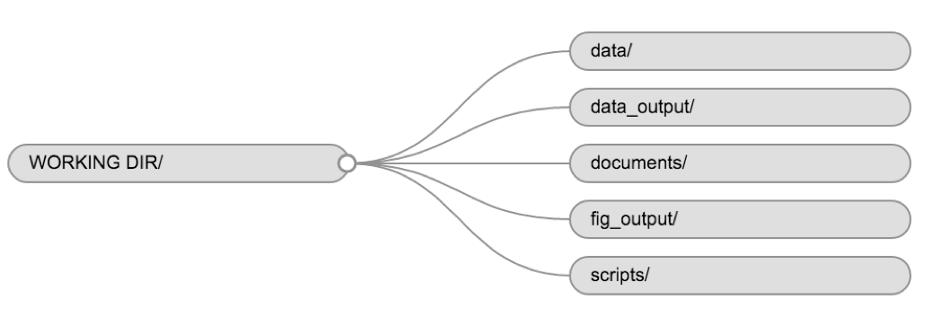 Flow diagram showing the structure of the working directory and various directory of a typical RStuio project.